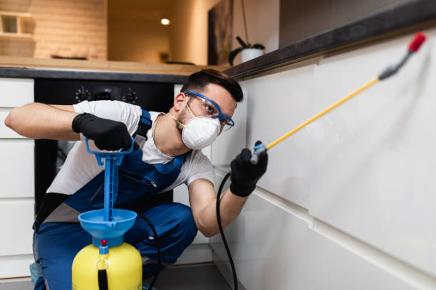 Best Pest Prevention Services  in Lexington, MN