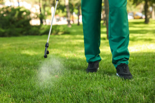 Best Residential Pest Control  in Lexington, MN