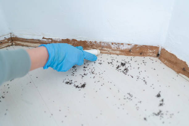 Pest Control Cost in Lexington, MN