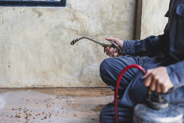 Best Emergency Pest Control  in Lexington, MN
